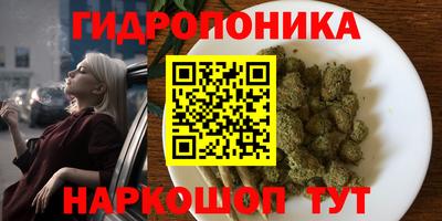 прущие крисы Гусев