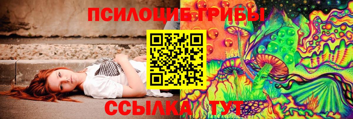 Псилоцибиновые грибы мухоморы Когалым
